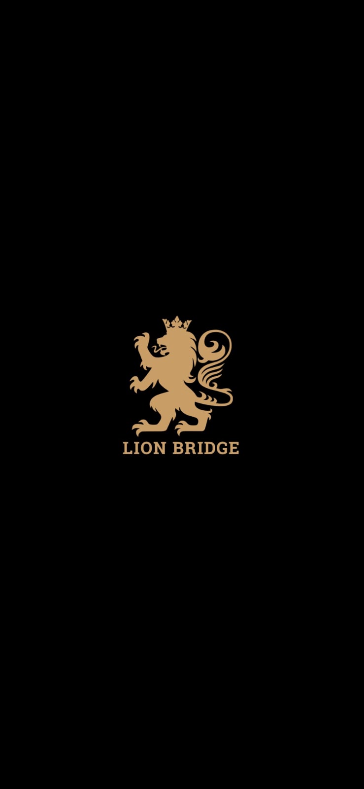 Logo Lion Bridge